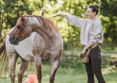 Petra Carey clickern - Quadrat