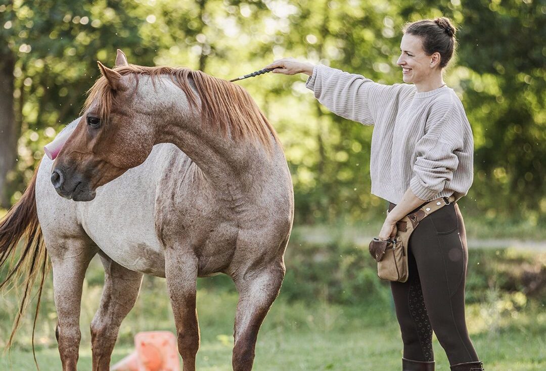 Futterlob beim Pferdetraining: Leckerli fürs Pferd, ja oder nein? 9 Petra Carey clickern - Quadrat