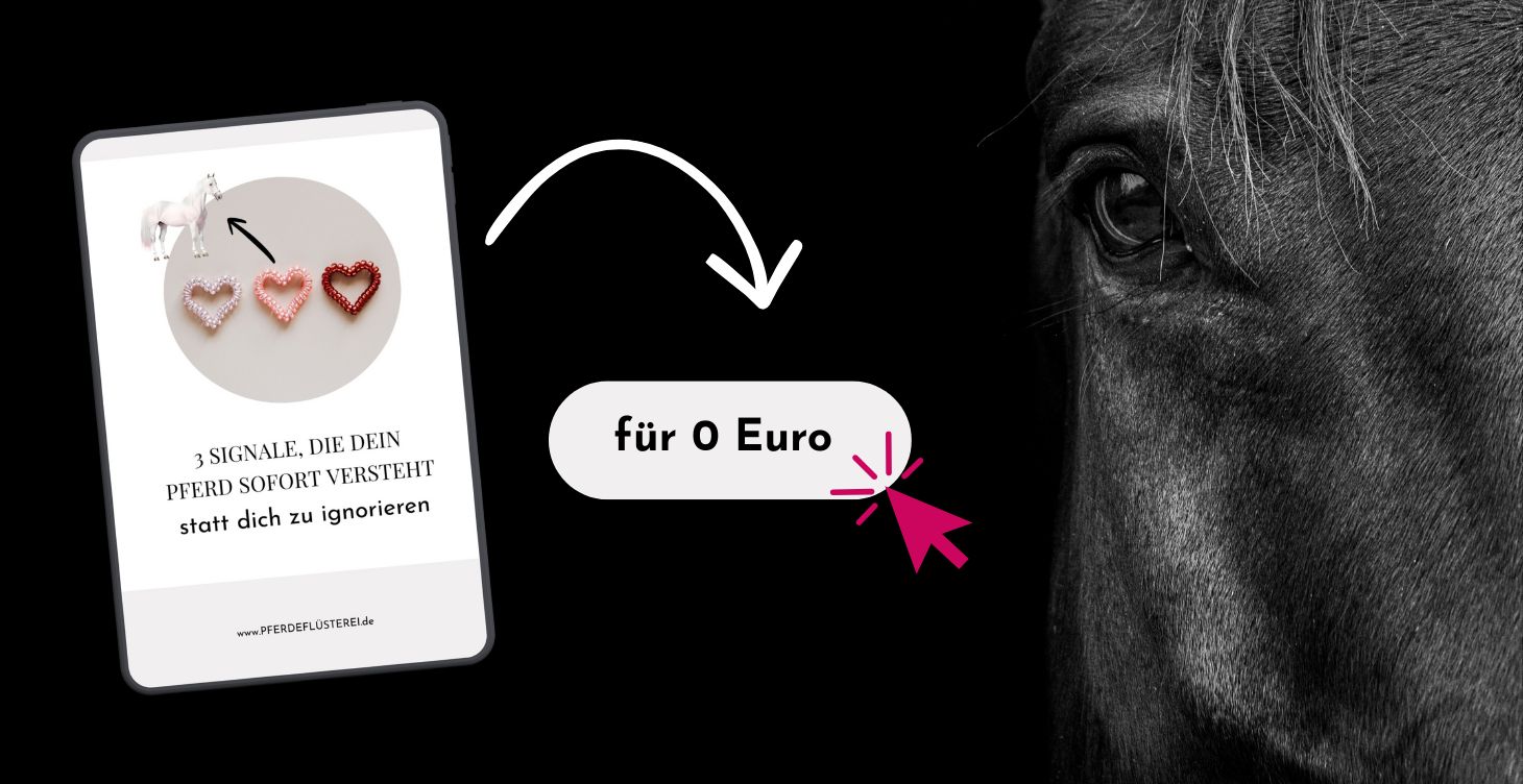 Körpersprache Signale Pferdeflüsterei Freebie Banner