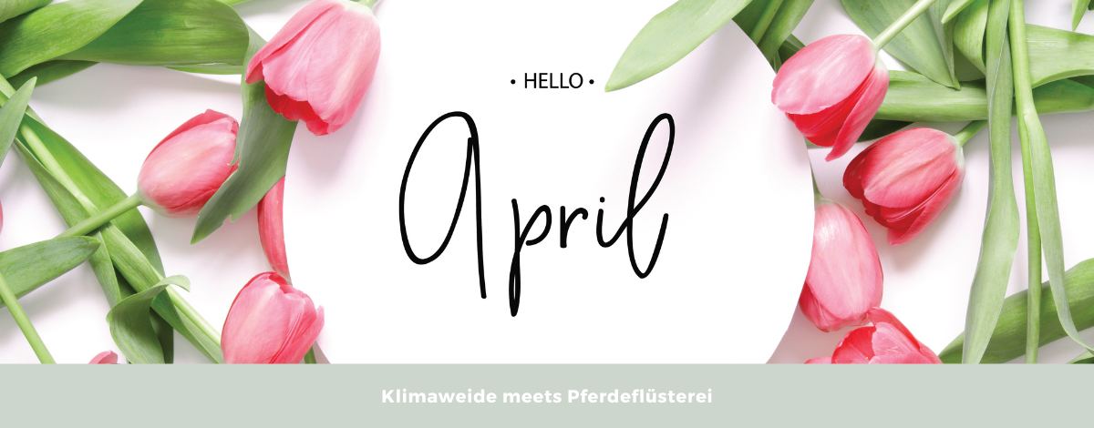 Pferdeweide im April Slider