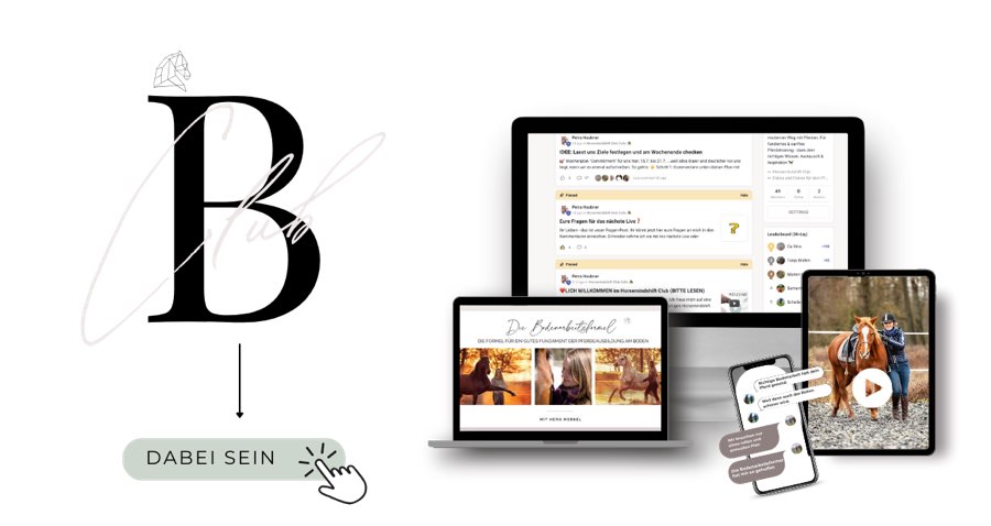 Jungpferd am Boden starten: Die 5 ersten Schritte in der Bodenarbeit 7 BodenarbeitsCLUB