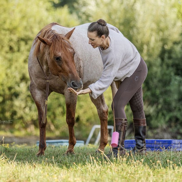 How To "Futterhöflichkeit" 1