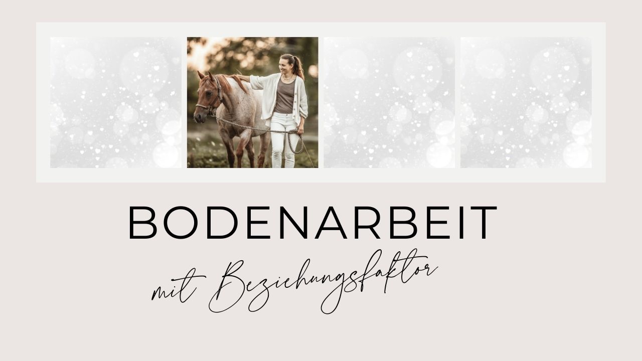 Die Körpersinne der Pferde: Der Schlüssel zu mehr Gelassenheit und Balance 2 Bodenarbeit mit Beziehungsfaktor Grafik - Körpersinne