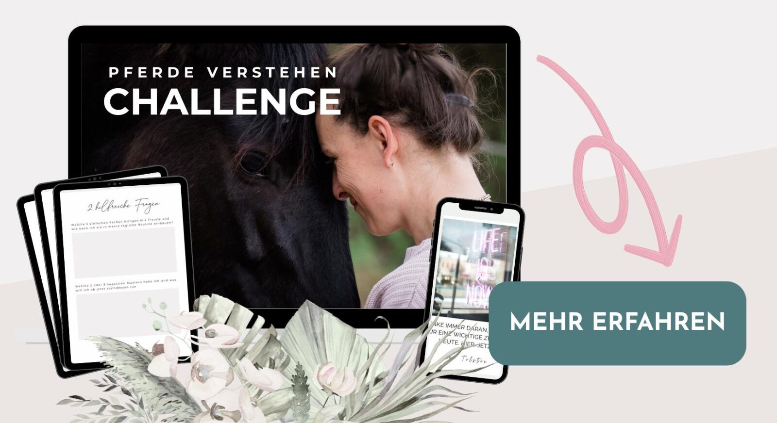 Pferd am Kopf anfassen – Warum du damit oft das Gegenteil von Verbindung erreichst 1 3 Tage Challenge - Pferde Verstehen