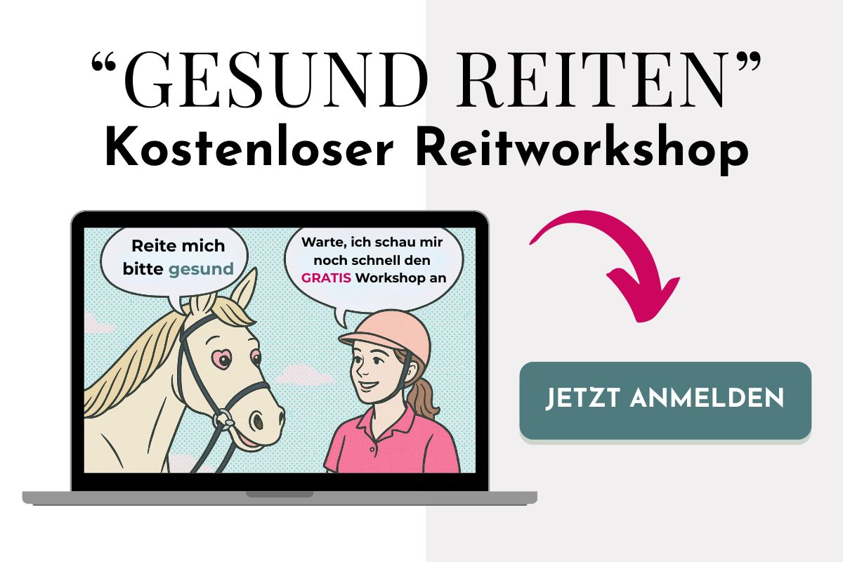 Reiten ohne Langeweile: Mehr Abwechslung, bessere Verbindung mit 3 Ideen für dein Training 1 Reiten ohne Langeweile: Mehr Abwechslung, bessere Verbindung mit 3 Ideen für dein Training 1