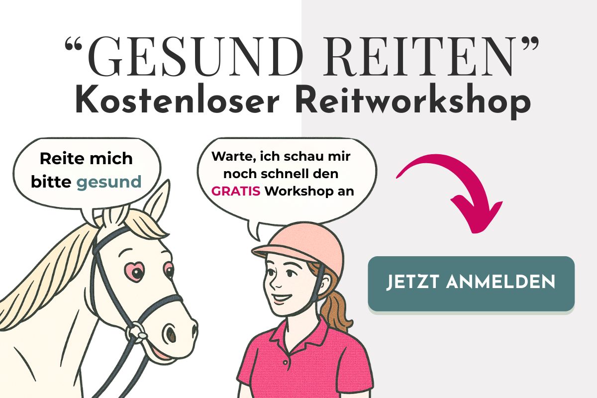Reiten ohne Langeweile: Mehr Abwechslung, bessere Verbindung mit 3 Ideen für dein Training 2 Reiten ohne Langeweile: Mehr Abwechslung, bessere Verbindung mit 3 Ideen für dein Training 2