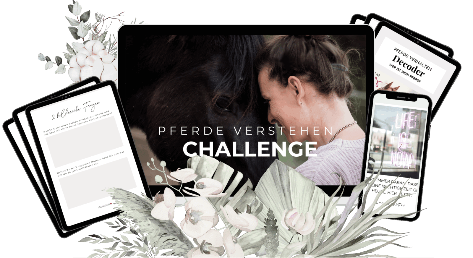 Pferd begrüßen! Wie du mit dem richtigen Hallo sofort Bindung aufbaust 9 Pferde verhaltens Challenge Hintergrund - MockUp