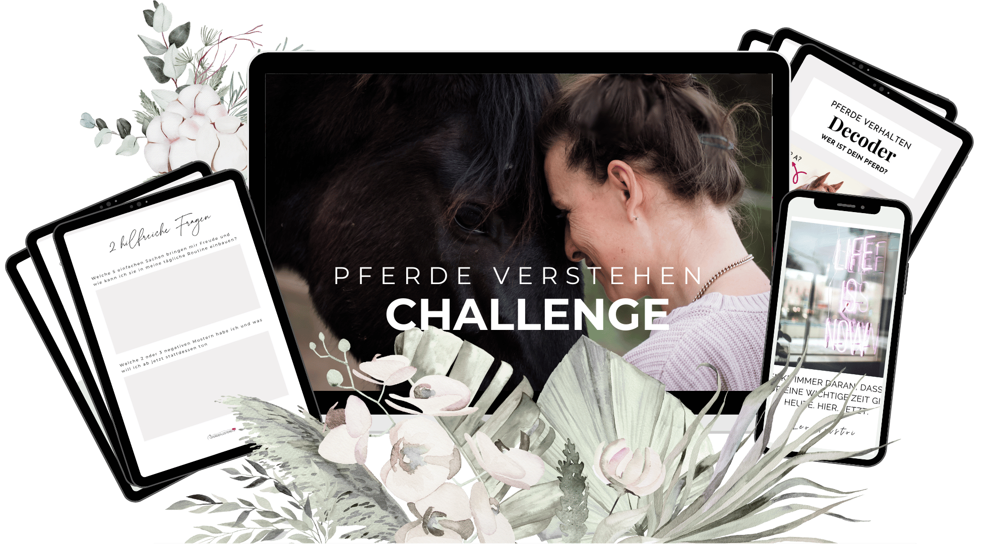 Pferde verhaltens Challenge Hintergrund - MockUp Pferde verhaltens Challenge Hintergrund - MockUp