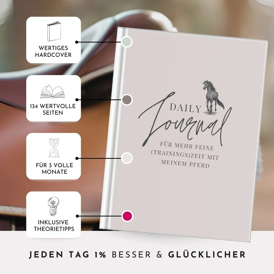 Reiten ohne Langeweile: Mehr Abwechslung, bessere Verbindung mit 3 Ideen für dein Training 5 Trainingstagebuch