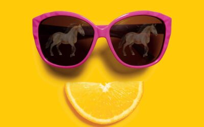 Pferdetraining im Sommer – So kannst du dein Pferd auch bei hohen Temperaturen optimal fördern