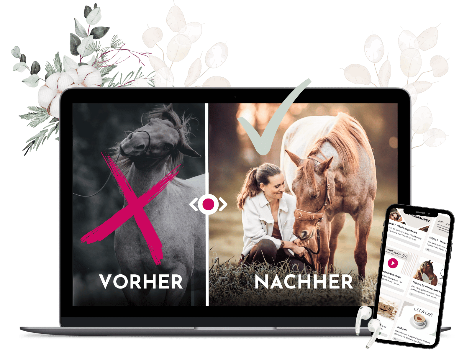 Vorher Nachhher - Pferde Verstehen Horsemindshift Vorher Nachhher - Pferde Verstehen Horsemindshift