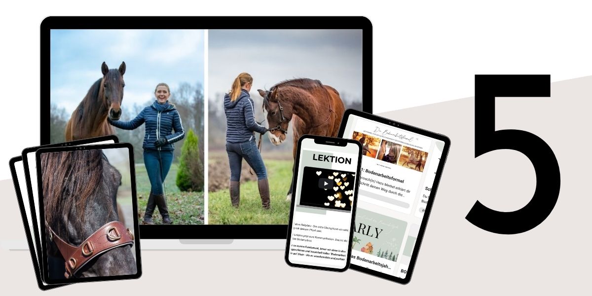 Modulbild Bodenarbeitsformel Modulbild Bodenarbeitsformel