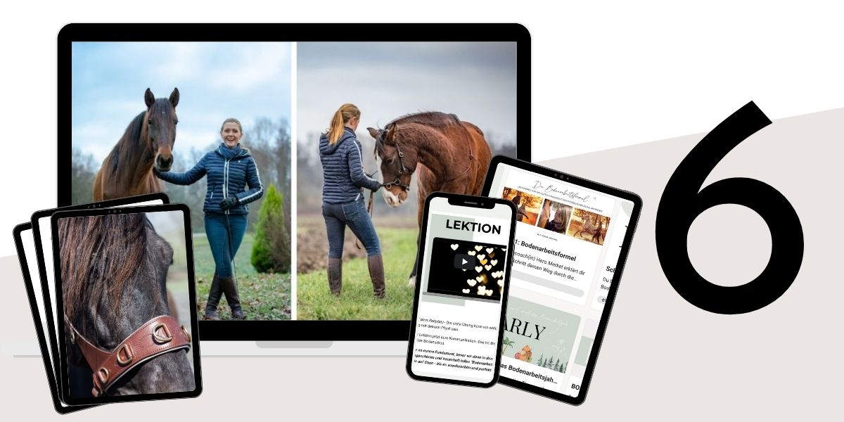 Modulbild Bodenarbeitsformel Modulbild Bodenarbeitsformel