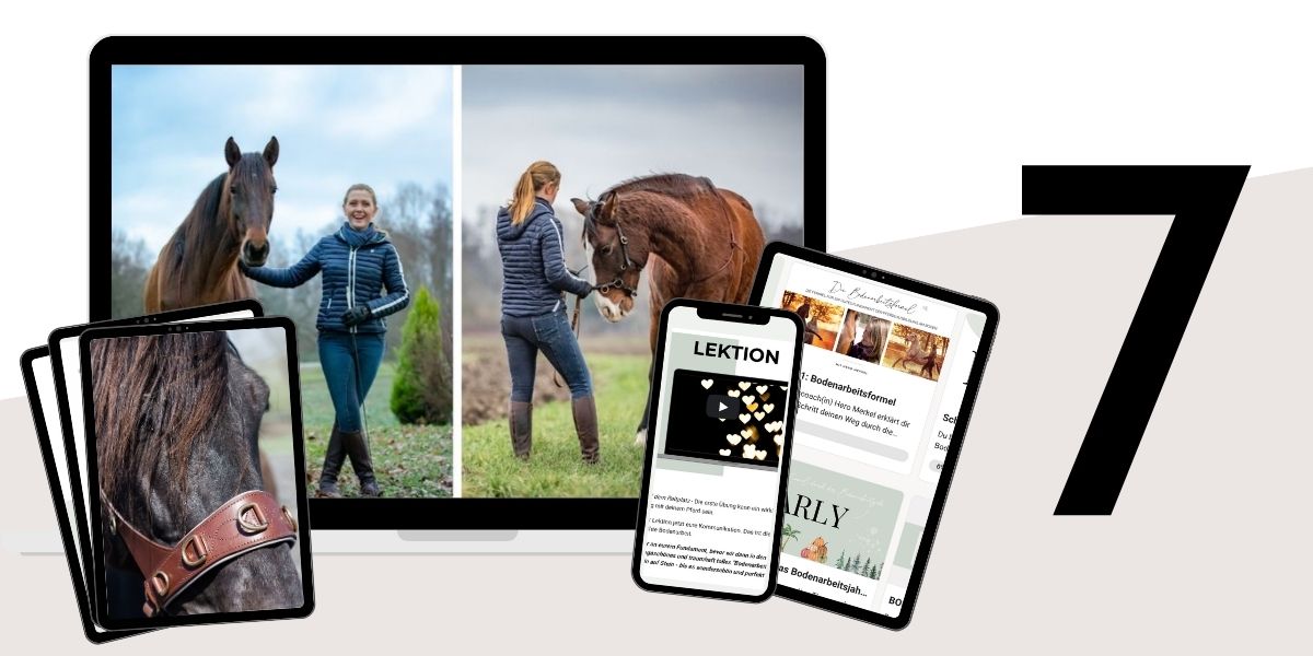 Modulbild Bodenarbeitsformel Modulbild Bodenarbeitsformel