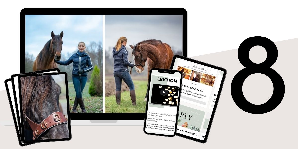 Modulbild Bodenarbeitsformel Modulbild Bodenarbeitsformel