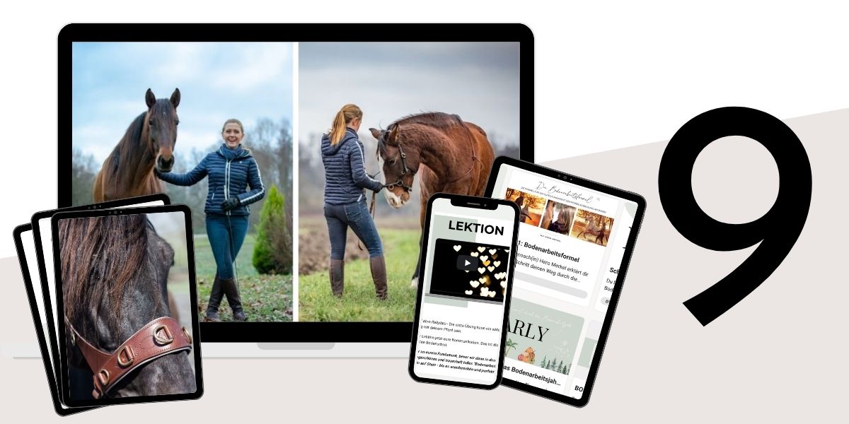 Modulbild Bodenarbeitsformel Modulbild Bodenarbeitsformel