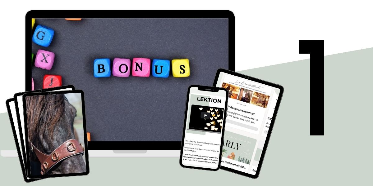 Modulbild Bodenarbeitsformel Modulbild Bodenarbeitsformel