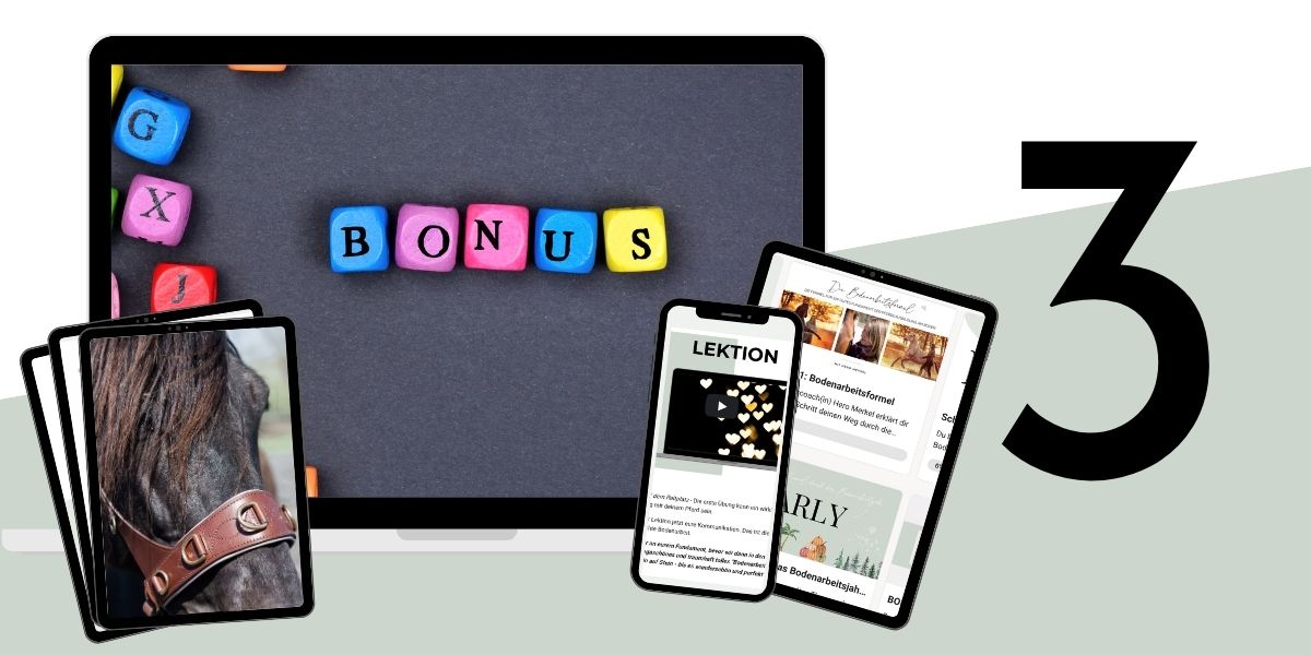 Modulbild Bodenarbeitsformel Modulbild Bodenarbeitsformel