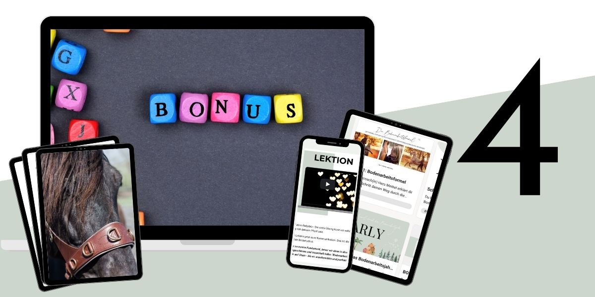 Modulbild Bodenarbeitsformel Modulbild Bodenarbeitsformel