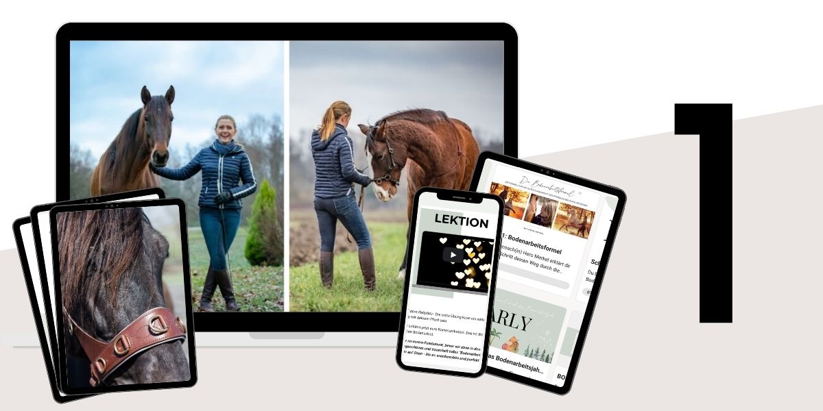 Modulbild Bodenarbeitsformel Modulbild Bodenarbeitsformel