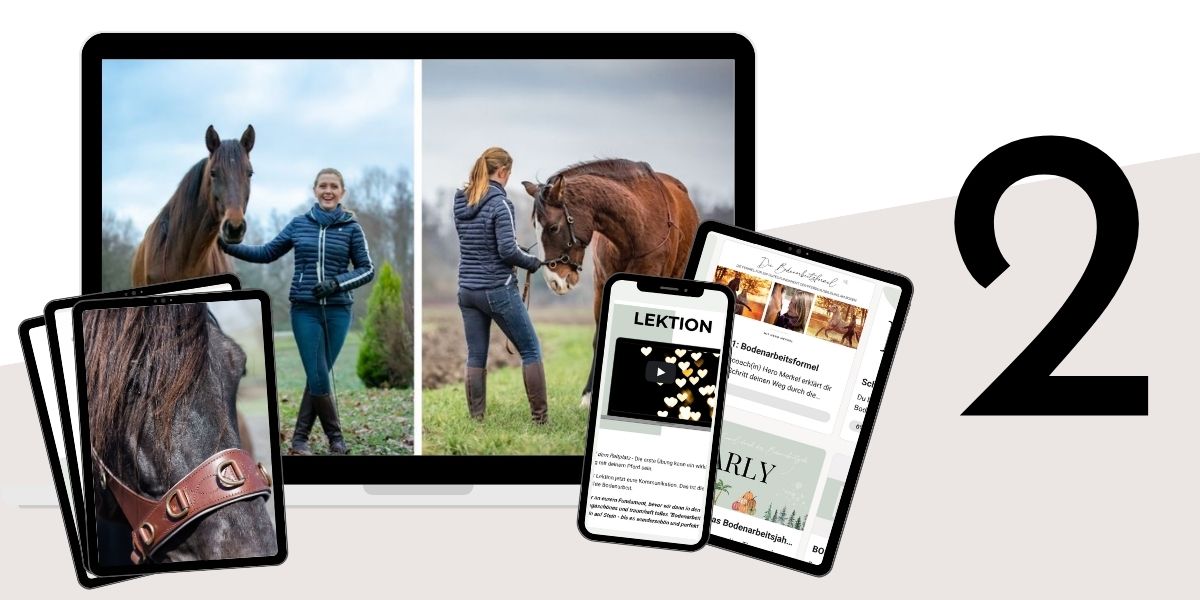 Modulbild Bodenarbeitsformel Modulbild Bodenarbeitsformel