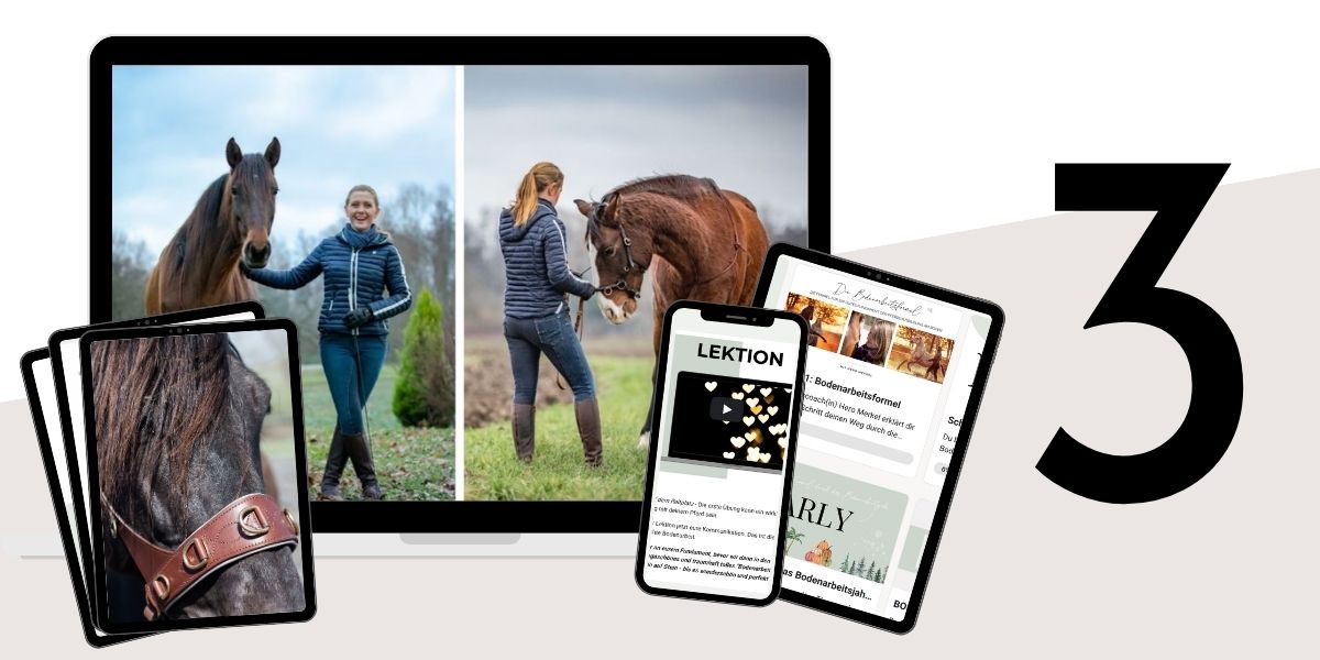 Modulbild Bodenarbeitsformel Modulbild Bodenarbeitsformel