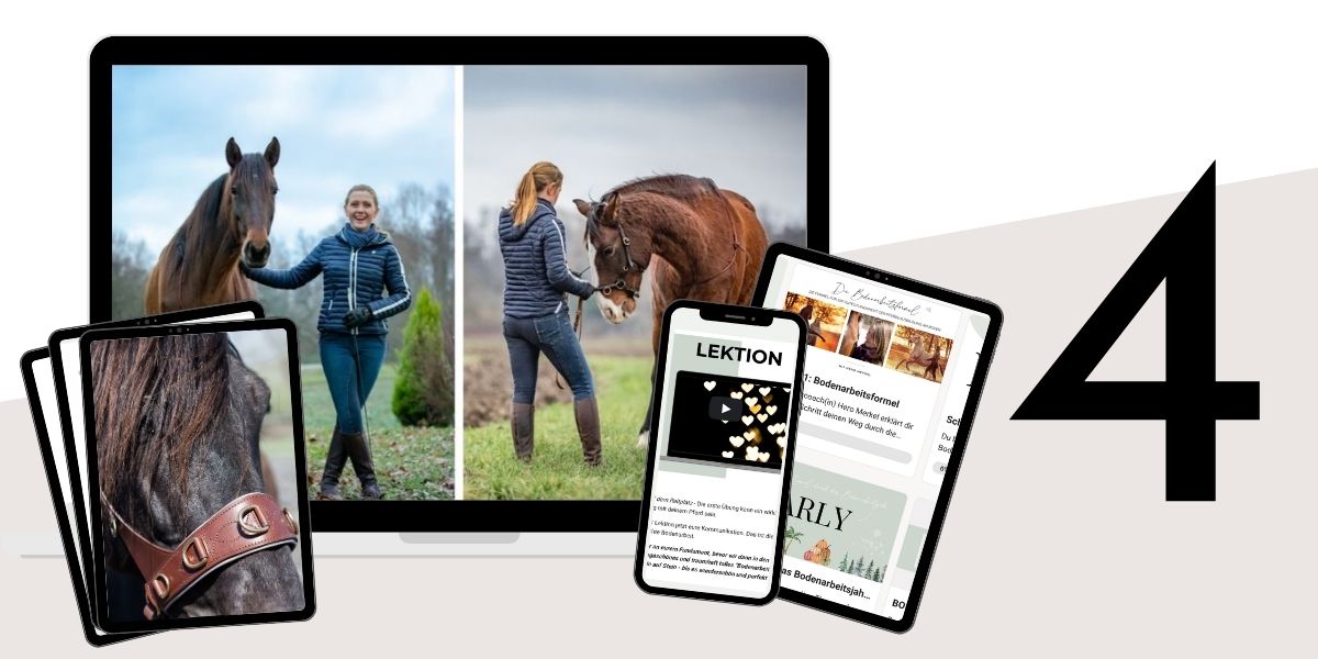 Modulbild Bodenarbeitsformel Modulbild Bodenarbeitsformel