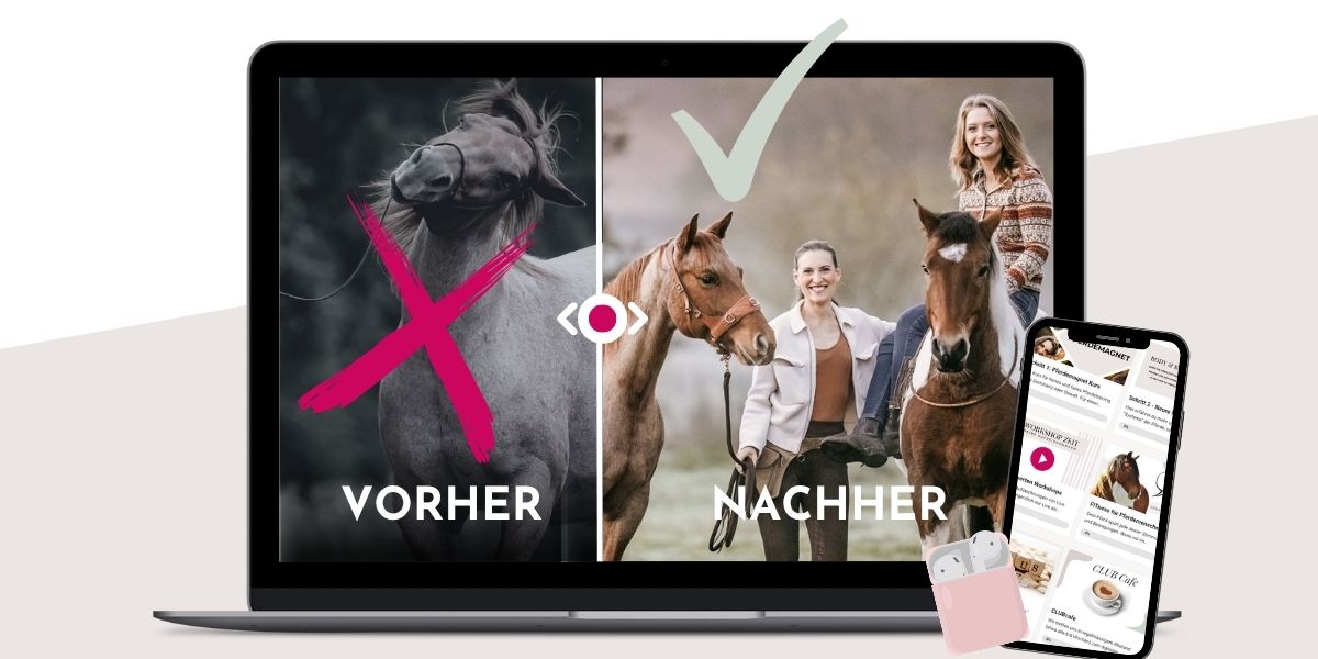 Vorher - Nachher Bild BodenarbeitsClub Vorher - Nachher Bild BodenarbeitsClub