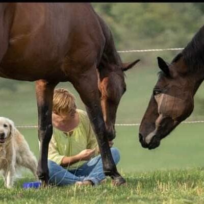 BodenarbeitsCLUB - Starter 4 Hero TEstimonial Bodenarbeitsformel