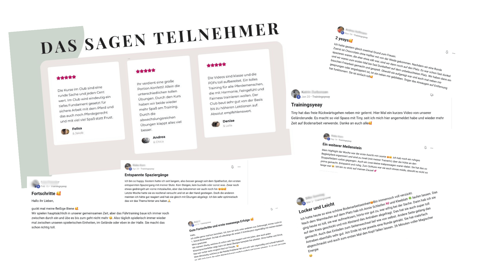 Testimonials BC Testimonials BC