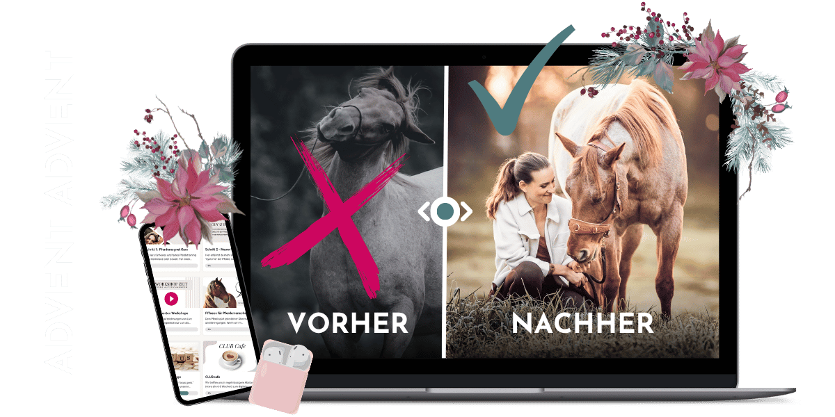 Horsemindshift Advent