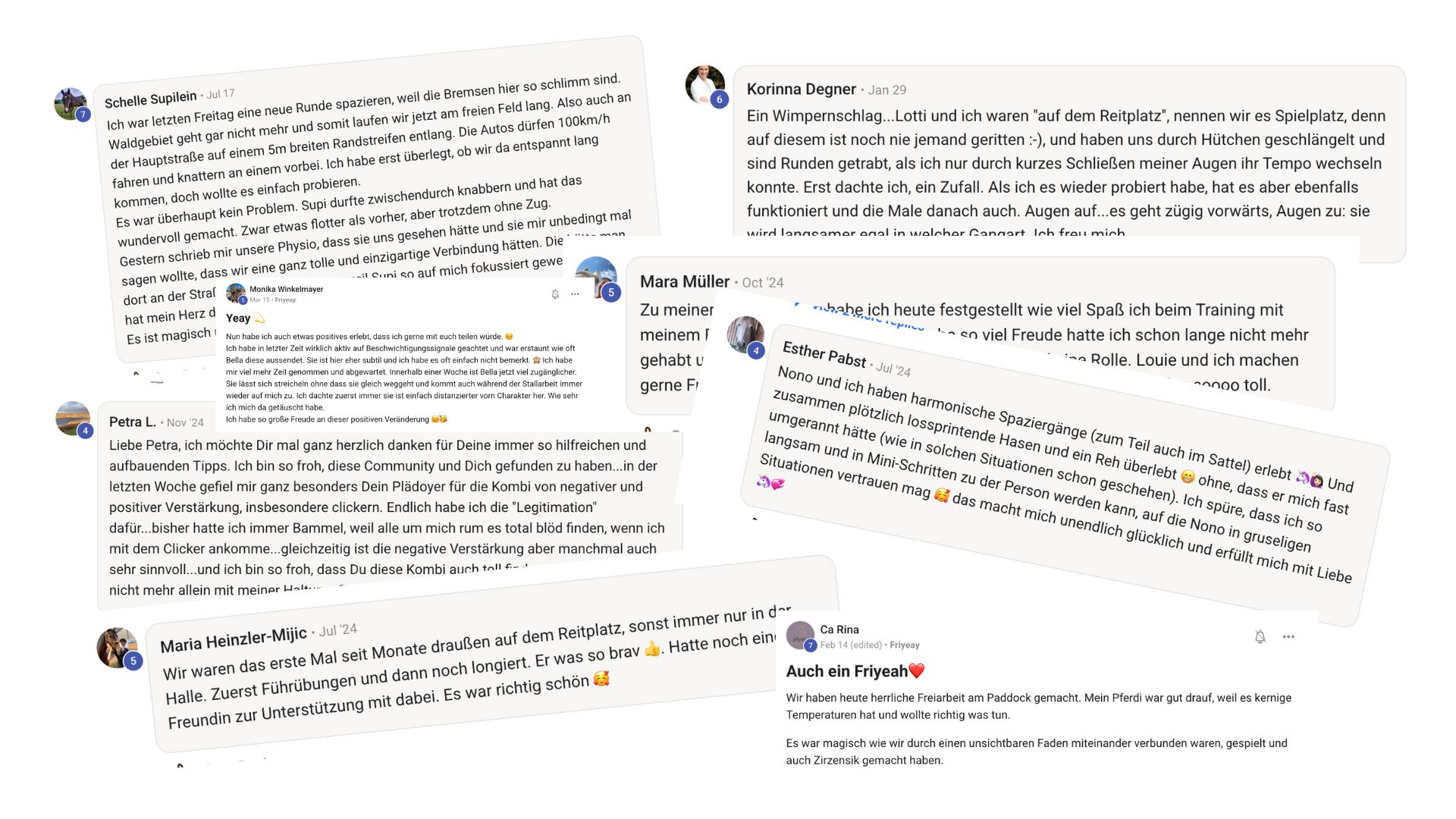 Testimonials Horsemindshift CLUB