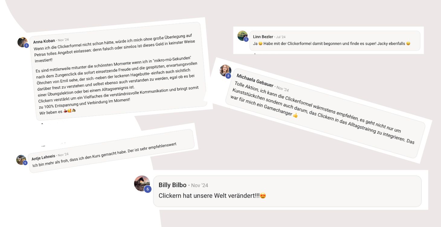 Clickerformel Testimonials