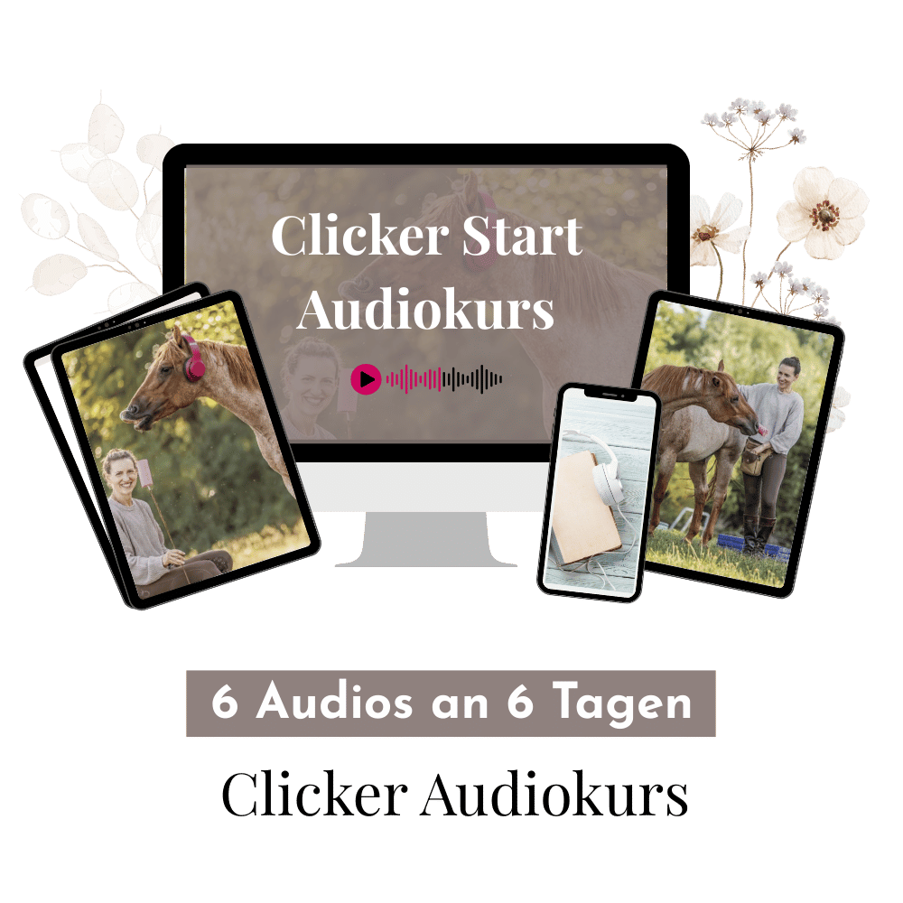 Clickermagie Audio Kurs