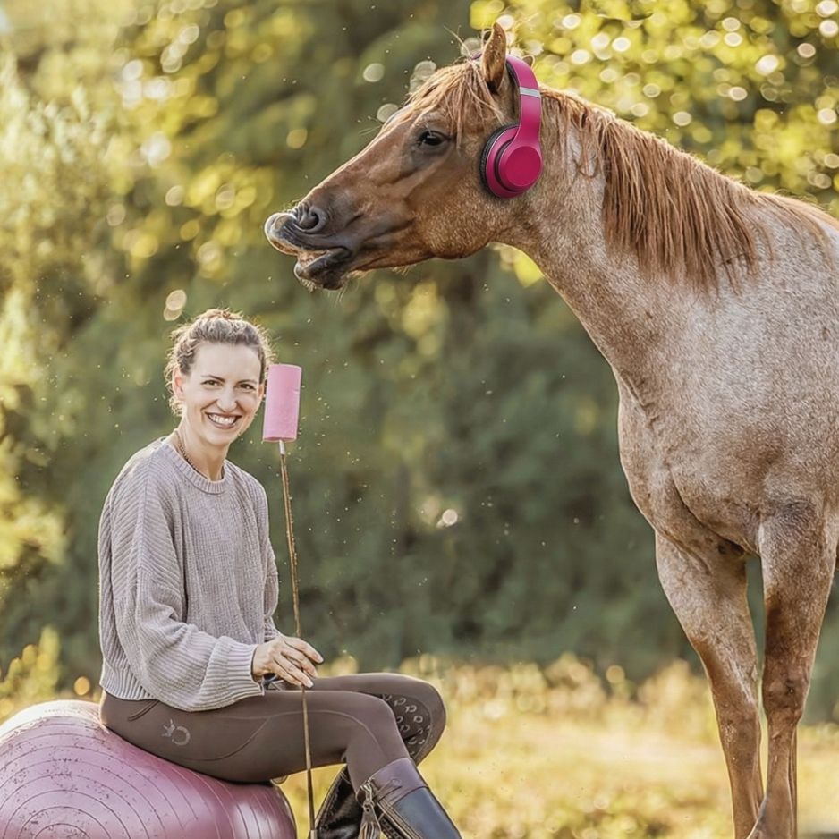 Clicker Audio Training Carey Kopfhörer Quadrat