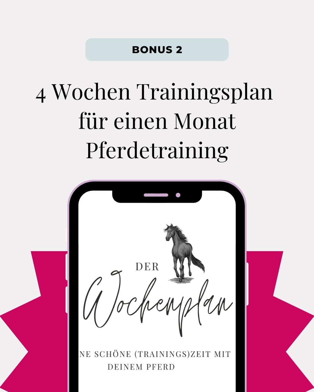 BONUS 2 - Horsemindshift CLUB Angebot
