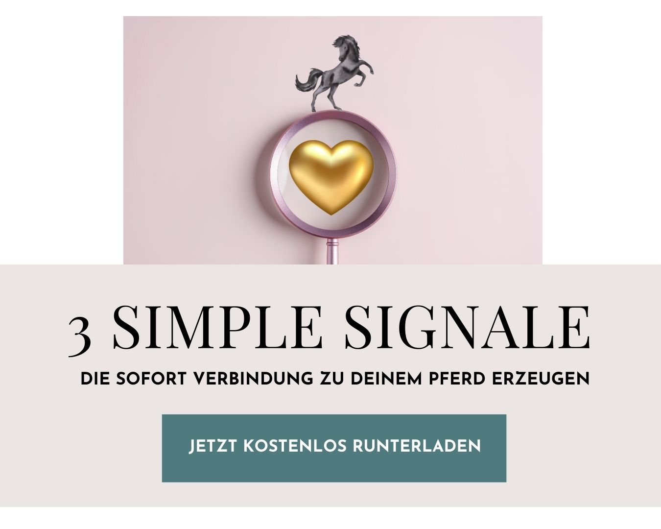 3_simple_Signale_V1-quer