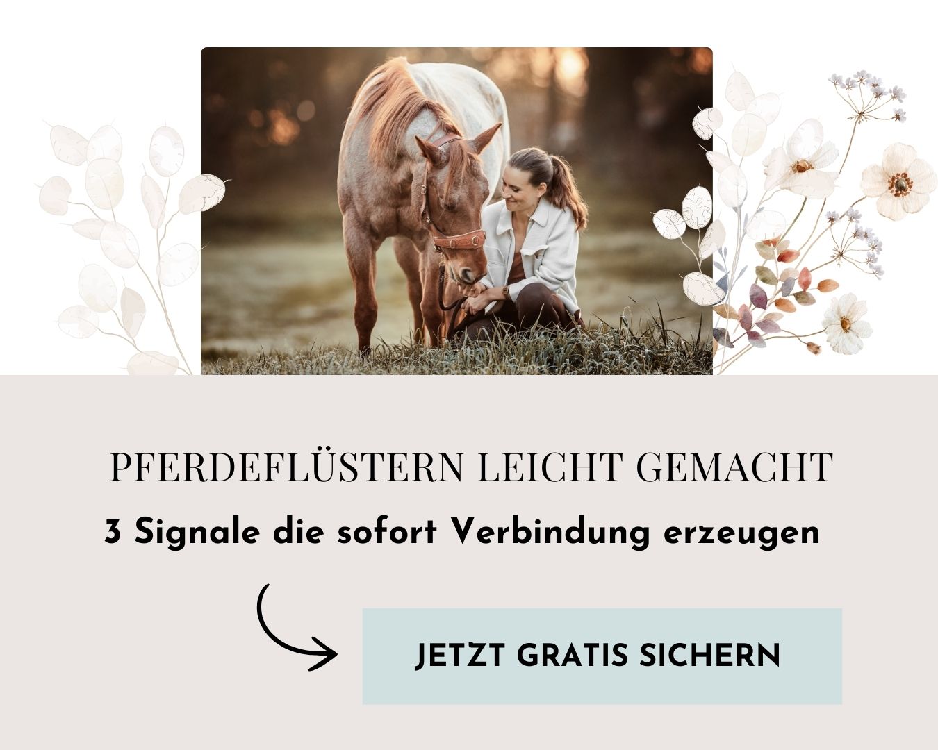 Pferde verstehen: Eine umfassende Anleitung 8 3_simple_Signale_V3-quer