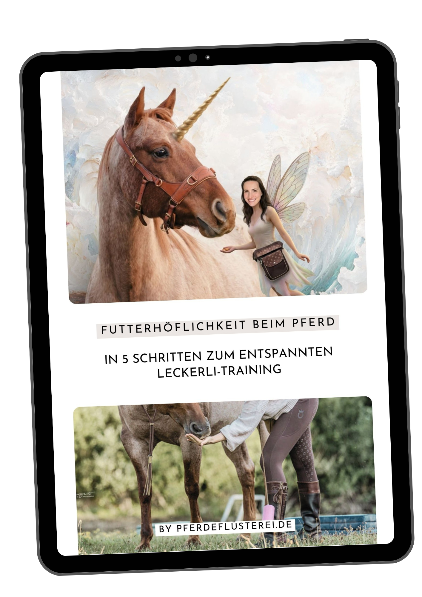 Futterhöflichkeit beim Pferd Freebie