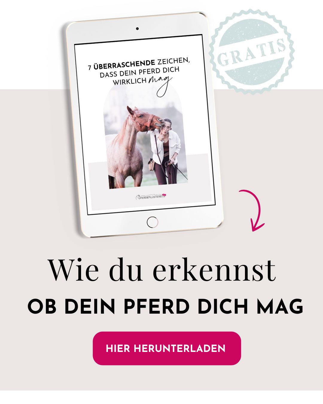 Freiarbeit mit Pferd: Wie du mühelos eine unsichtbare Verbindung aufbaust 2
