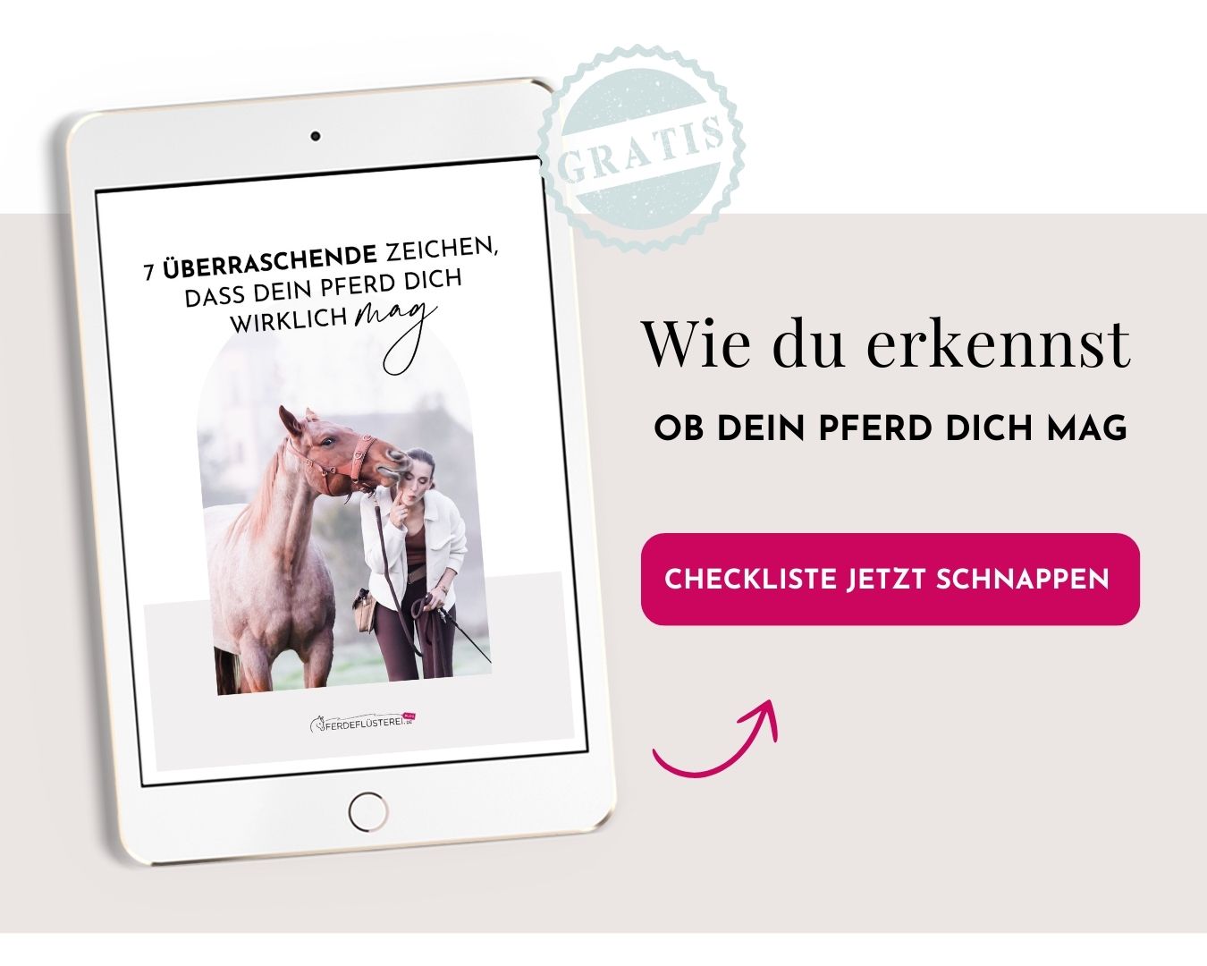 Freiarbeit mit Pferd: Wie du mühelos eine unsichtbare Verbindung aufbaust 1