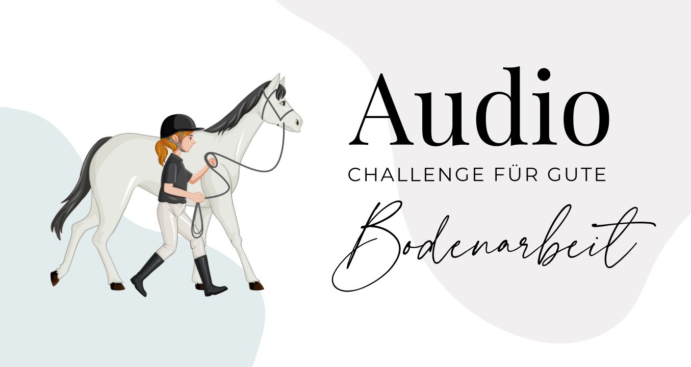 Bodenarbeitschallenge - Headerbild